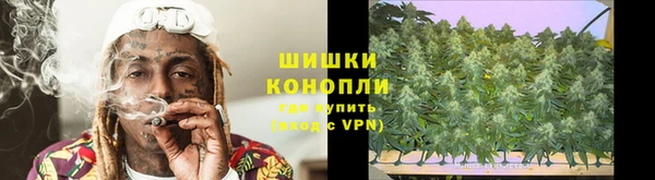 apvp Новозыбков