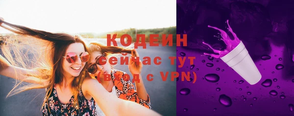 apvp Новозыбков