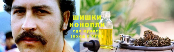 apvp Новозыбков