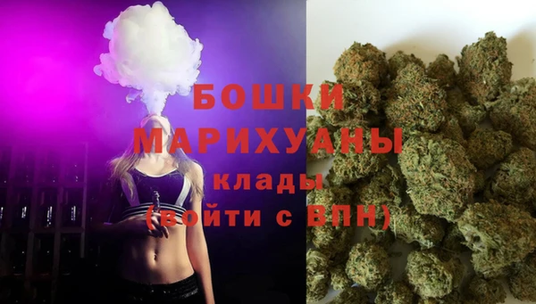 apvp Новозыбков