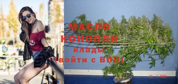 индика Бутурлиновка