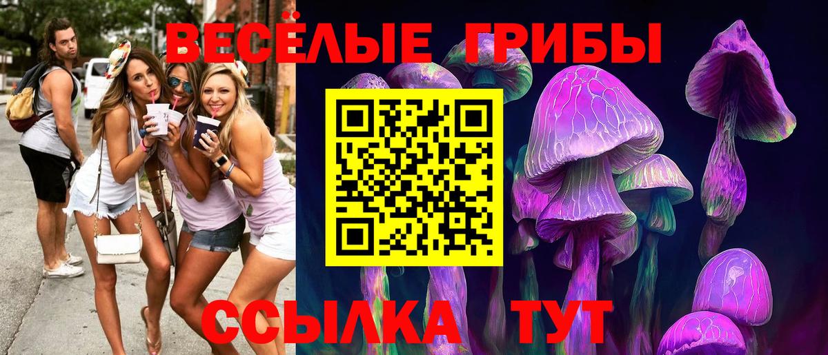 Псилоцибиновые грибы прущие грибы Ревда